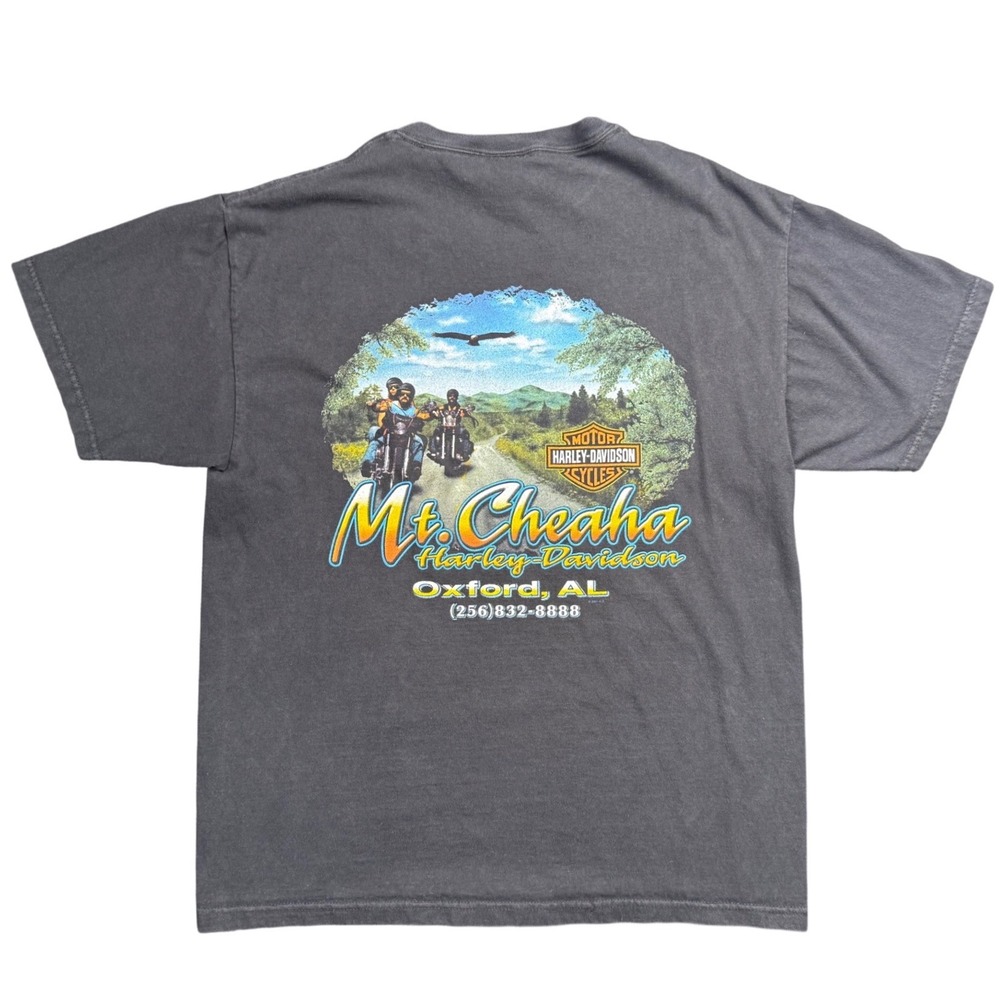 Harley Davidson Mt Cheaha Oxford‎ AL T Shirt Large Made USA Hanes Beefy - Picture 2 of 7